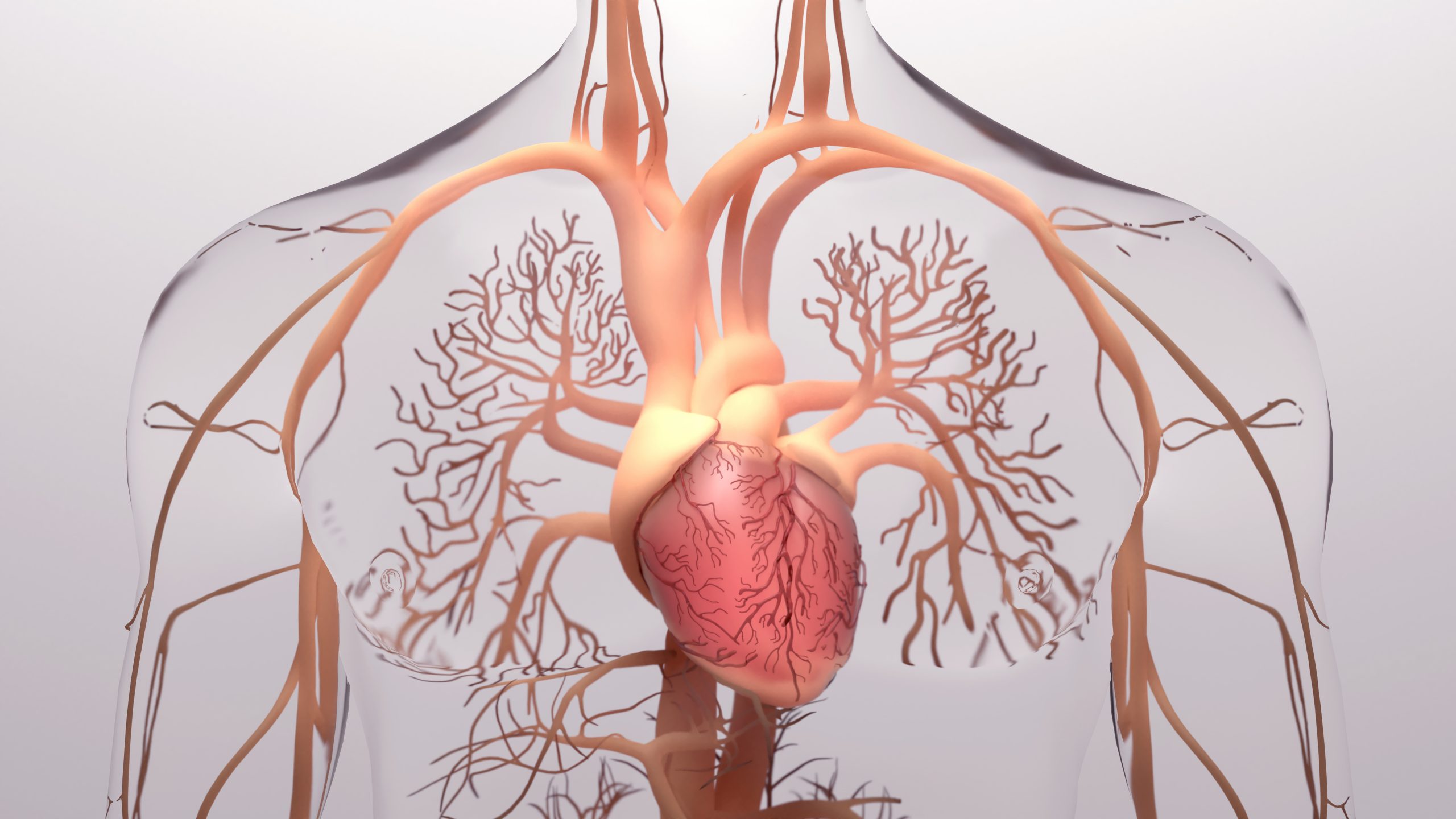 Hipertensión arterial y otros factores de riesgo cardiovascular