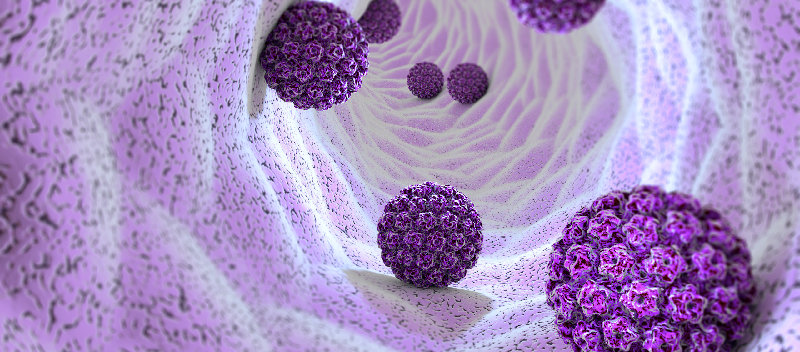 Virus del Papiloma Humano (VPH)